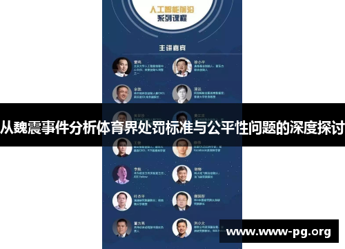 从魏震事件分析体育界处罚标准与公平性问题的深度探讨